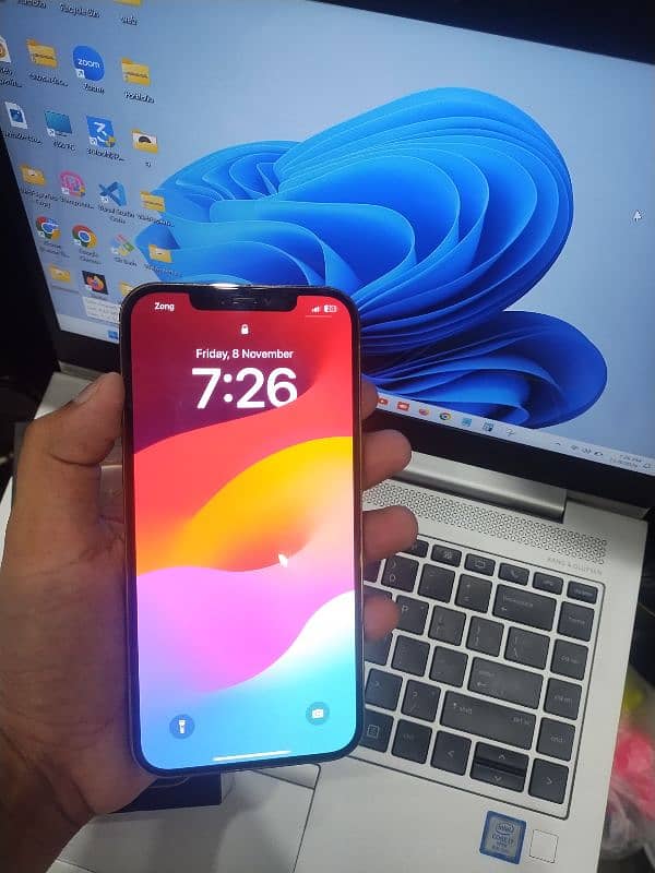 iPhone 12 Pro Max PTA Approved 11