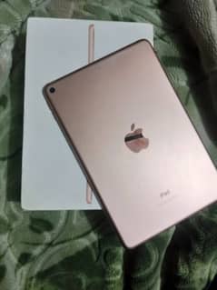 ipad mini 5 all ok 64gb