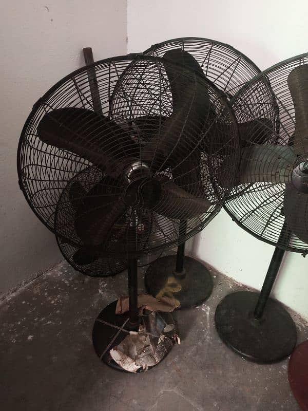 5 adad fan. (al habeeb)24" size working 3