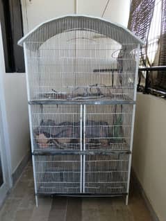 bird cage