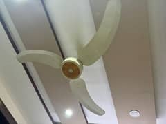 4 ceiling fans