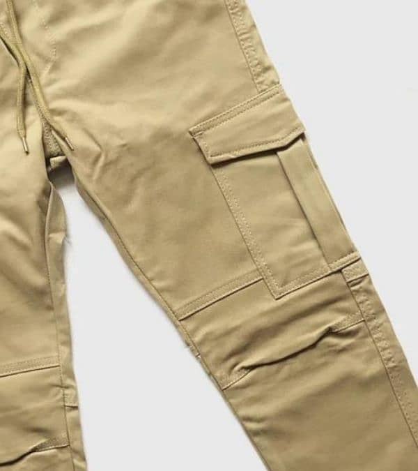 cargo pant 1