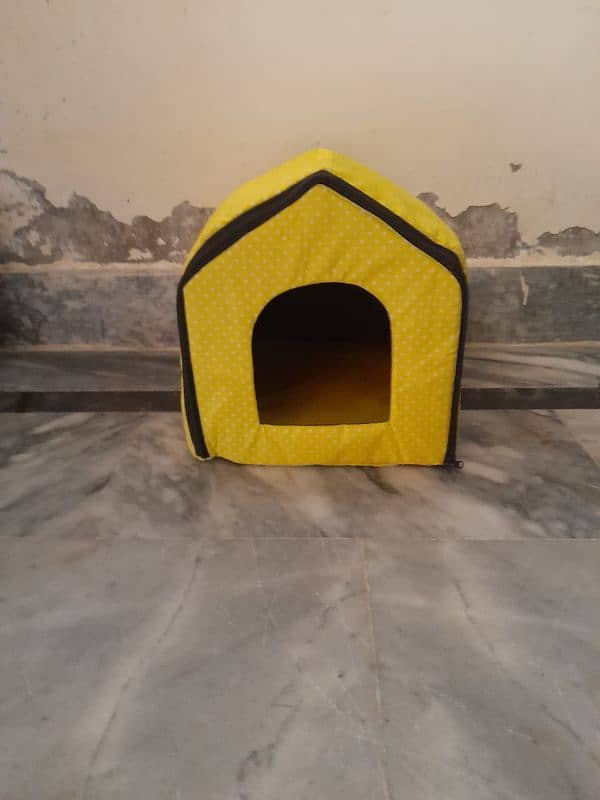 Persian Cat With Cat House 5