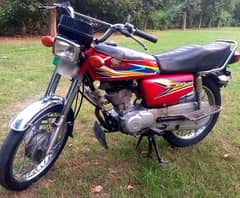 Honda 125 2019 model condition 10/9.5