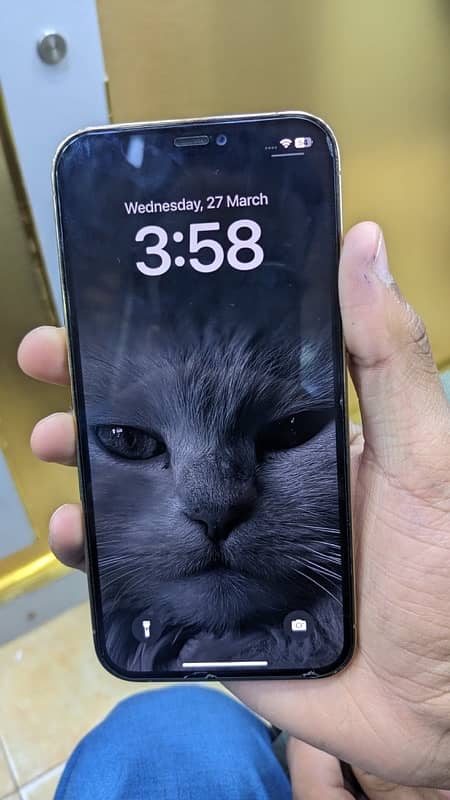 IPhone 12 Pro non pta 0