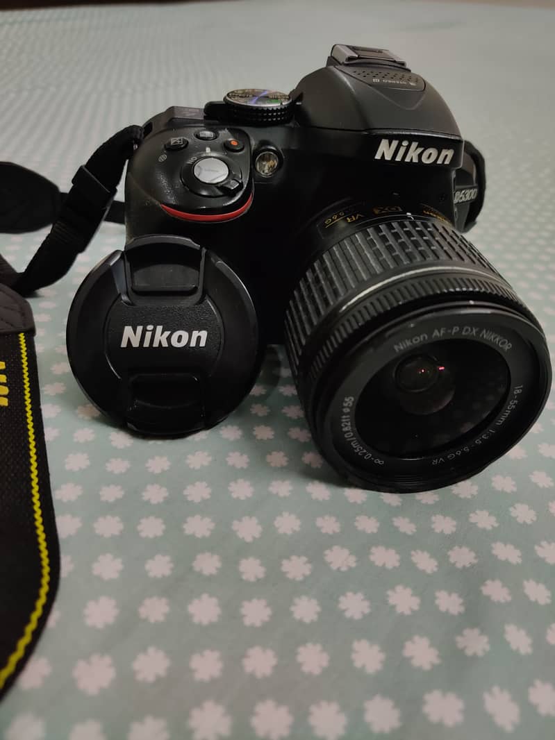 Nikon D5300 with Box 1