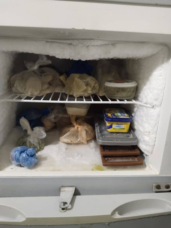 Used Hier Refrigerator for Sale 1