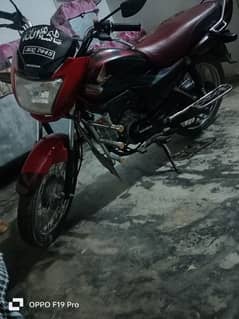 honda 100 prider