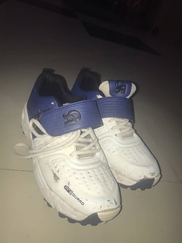 CA ORIGINAL CRICKET SHOES 5 number 2