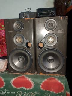 Pioneer Speaker