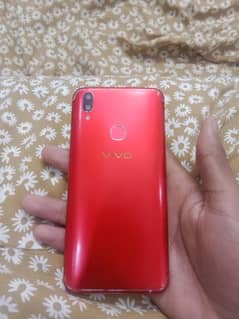 vivo