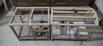 Australian  4 pairs  Parrots for Sale with Cages