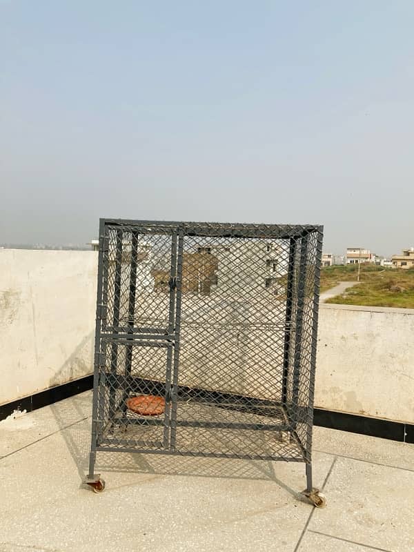 Cage for sale 0