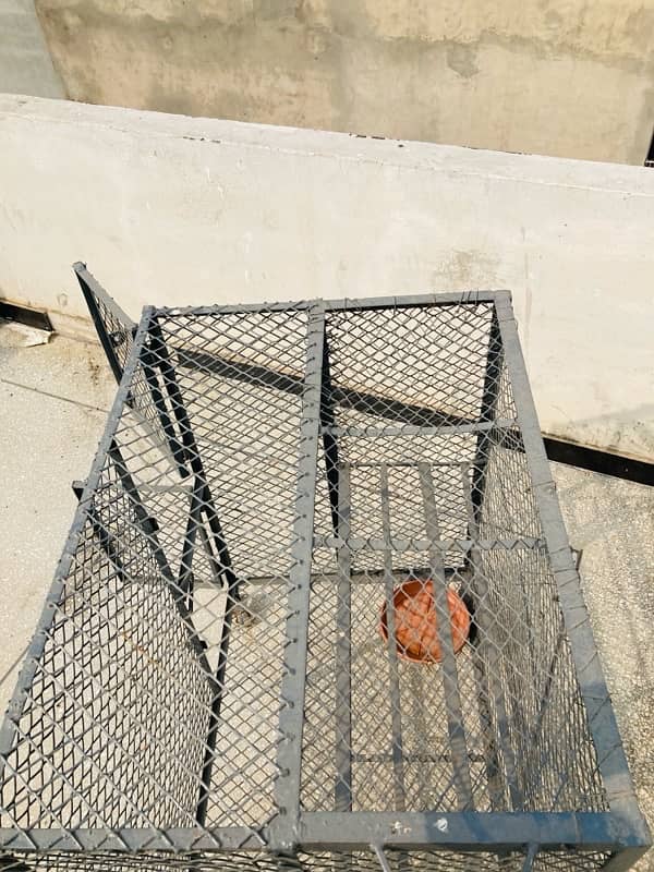 Cage for sale 3