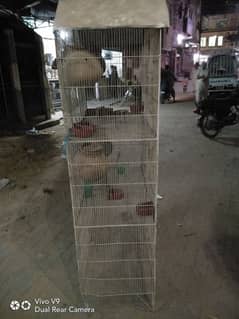 Parrot Cages