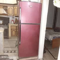 Haier refrigerator full size in Maroon color