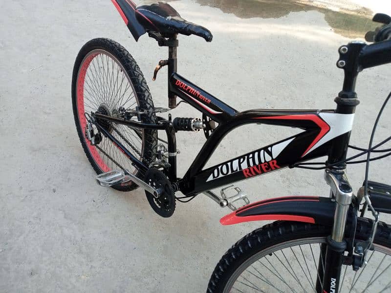 Dolphin River Cycle for Sale 6