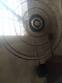 Fan