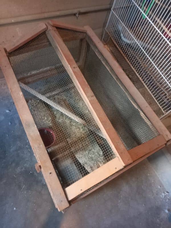 big Cage / pinjra for birds and hen 1