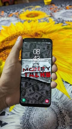 Samsung S8 64GB PTA Prove