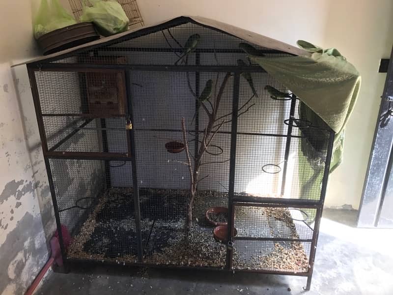 Birds Cage 1