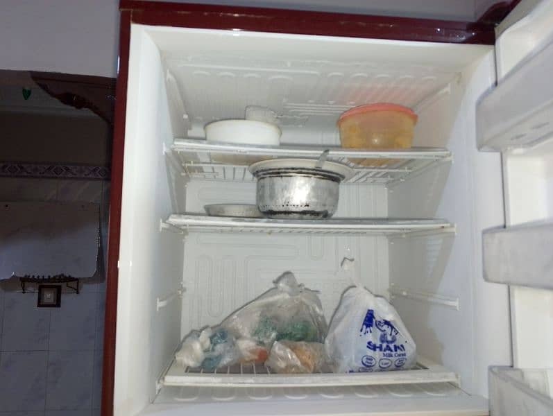 PEL Refrigerator 1