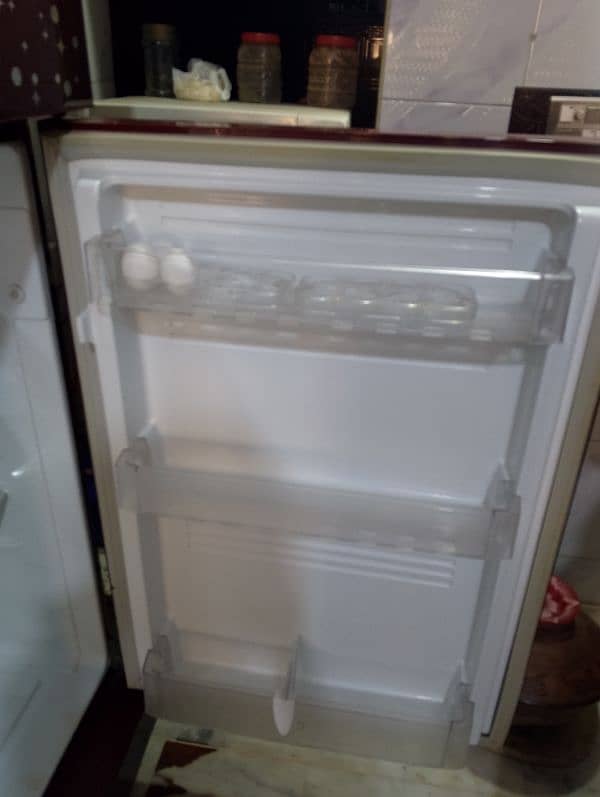 PEL Refrigerator 4