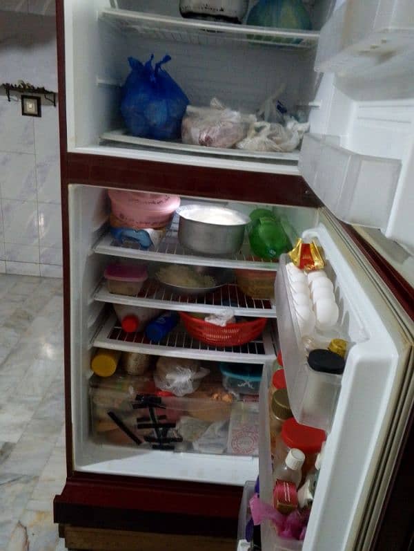 PEL Refrigerator 8