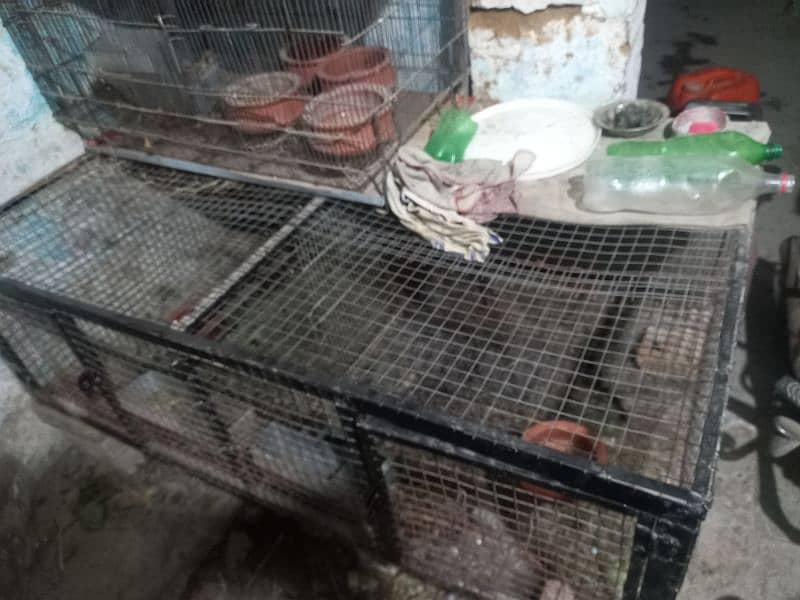 cage for sale 0