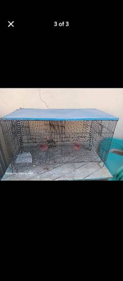 bird gauge for sale pinjra