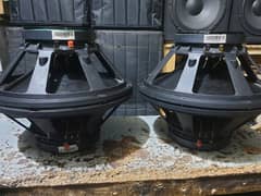 ev speaker 300 wat