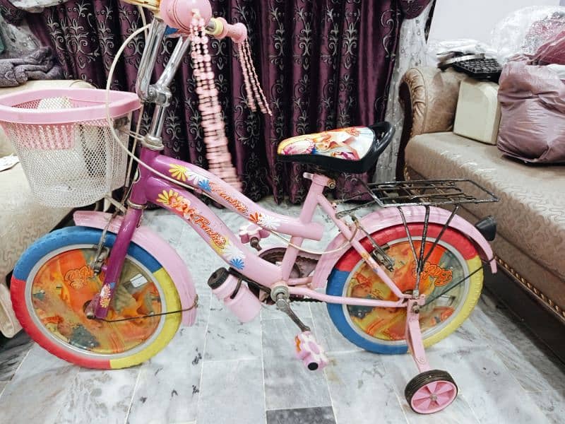 girls bicycle 0