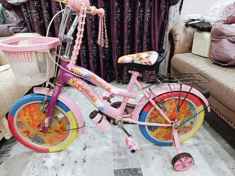 girls bicycle 1