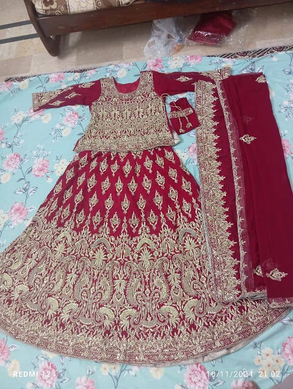 New design Bridal lehnga blood Red color with pure kora work 3