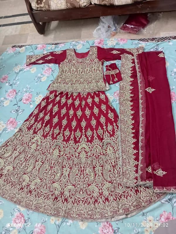 New design Bridal lehnga blood Red color with pure kora work 4