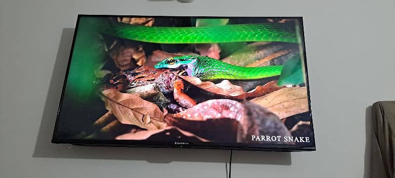 Ecostar 43 inch. android led for sale . 7