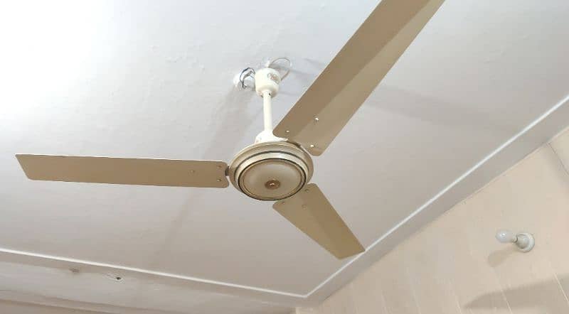 Younas ceilings fans 0