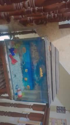 fish aquarium