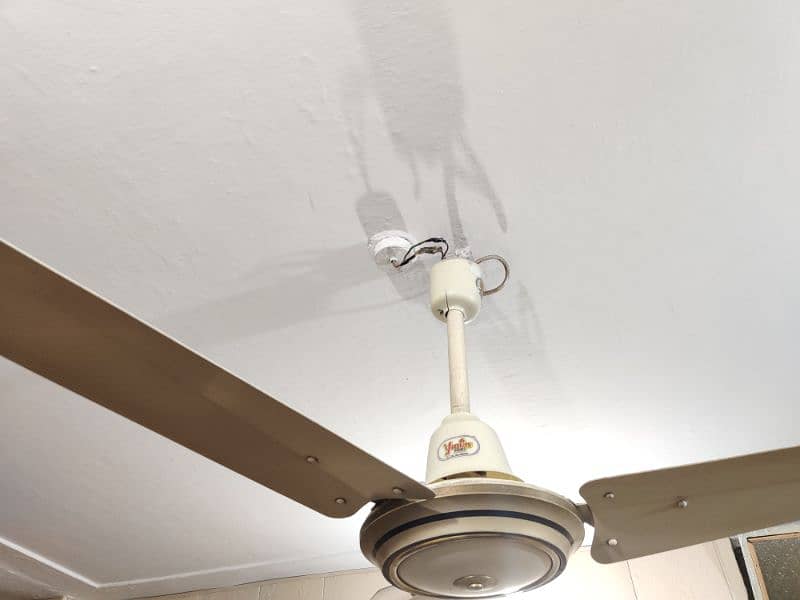 Younas ceilings fans 1