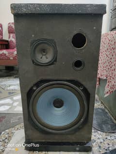 10 inch single speaker