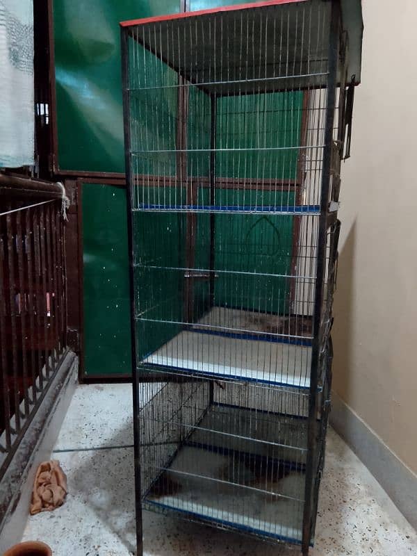 parrots cage 6 khano Wala 1