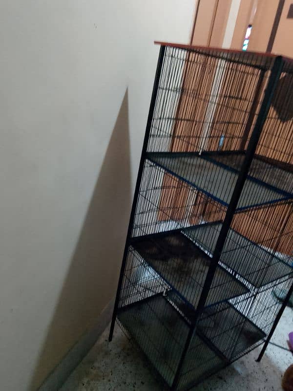 parrots cage 6 khano Wala 4