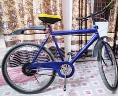 Bicycle for sale