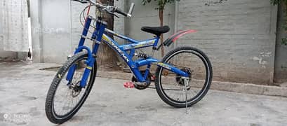 phoenix bicycle