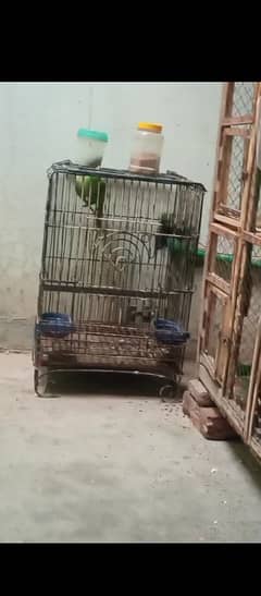 cage for sale