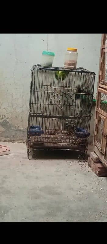 cage for sale 1