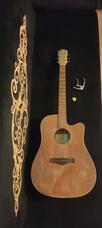 Riverstone Acoustic guitar 1