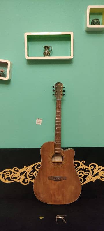 Riverstone Acoustic guitar 2