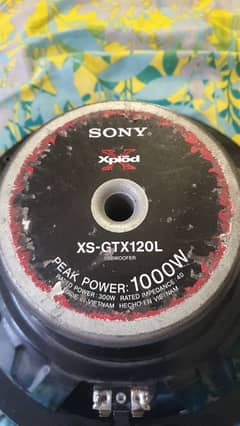 12 " inches woofer / No repair