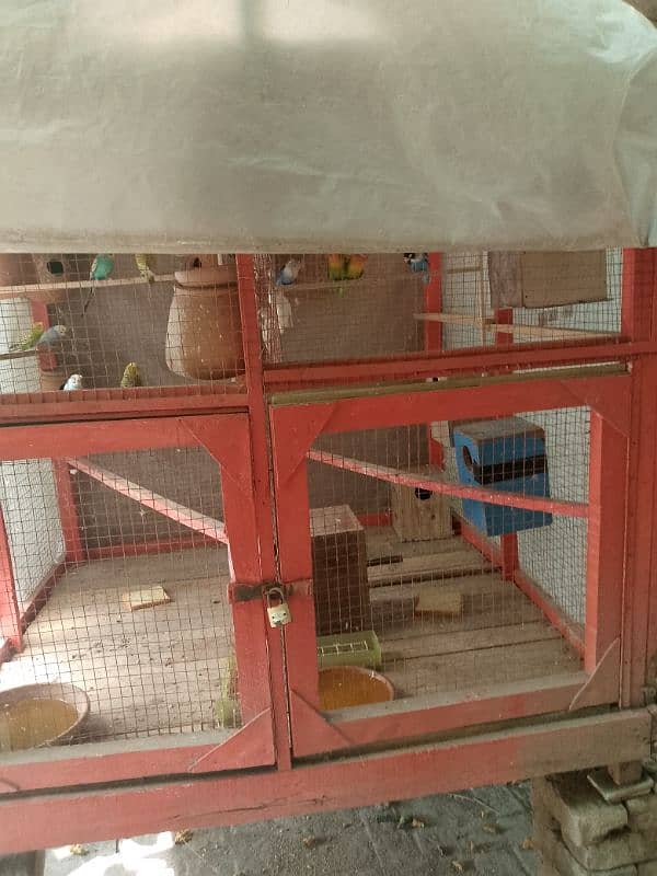 bird cage 1